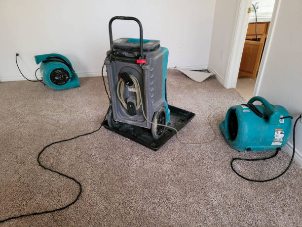 Best Local water damage restoration  in Venice Gardens, FL