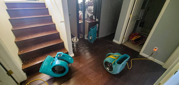 Best Water damage restoration near me  in Venice Gardens, FL