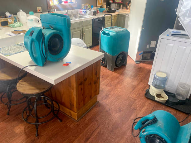Best Water damage contractors near me  in Venice Gardens, FL