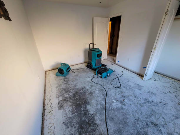 Best Sewage cleanup and water damage restoration  in Venice Gardens, FL