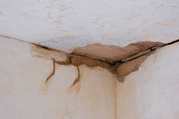 Water damage restoration experts in FL