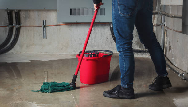 Best Mold removal after water damage  in Venice Gardens, FL