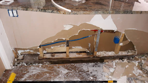 Best Flood damage cleanup  in Venice Gardens, FL