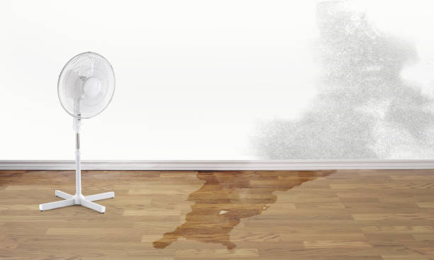 Best Commercial water damage restoration  in Venice Gardens, FL
