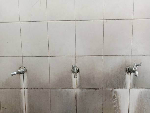 Best Water damage restoration near me  in Venice Gardens, FL