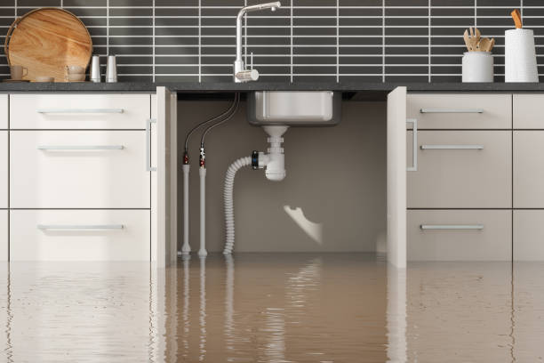 Best Sewage cleanup and water damage restoration  in Venice Gardens, FL