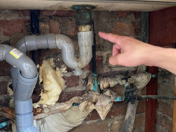 Best Water damage restoration process  in Venice Gardens, FL