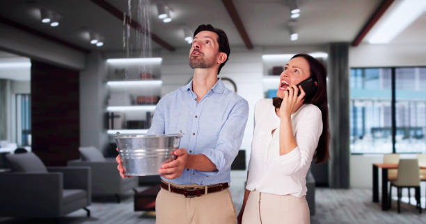 Best Ceiling water damage repair  in Venice Gardens, FL