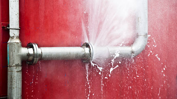 Best Water damage cleanup near me  in Venice Gardens, FL
