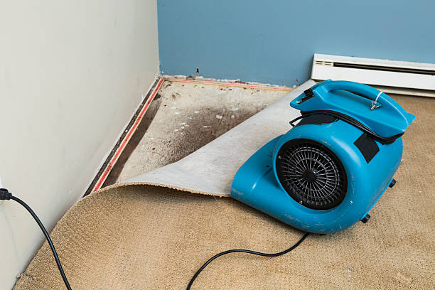 Best 24/7 water damage repair  in Venice Gardens, FL