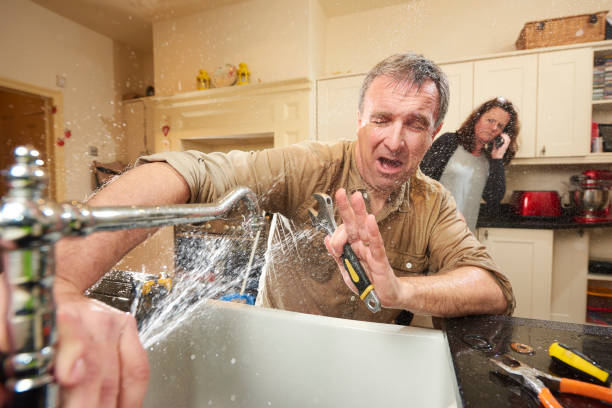 Best Carpet water damage restoration  in Venice Gardens, FL